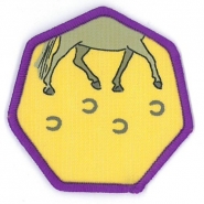 footfalls badge